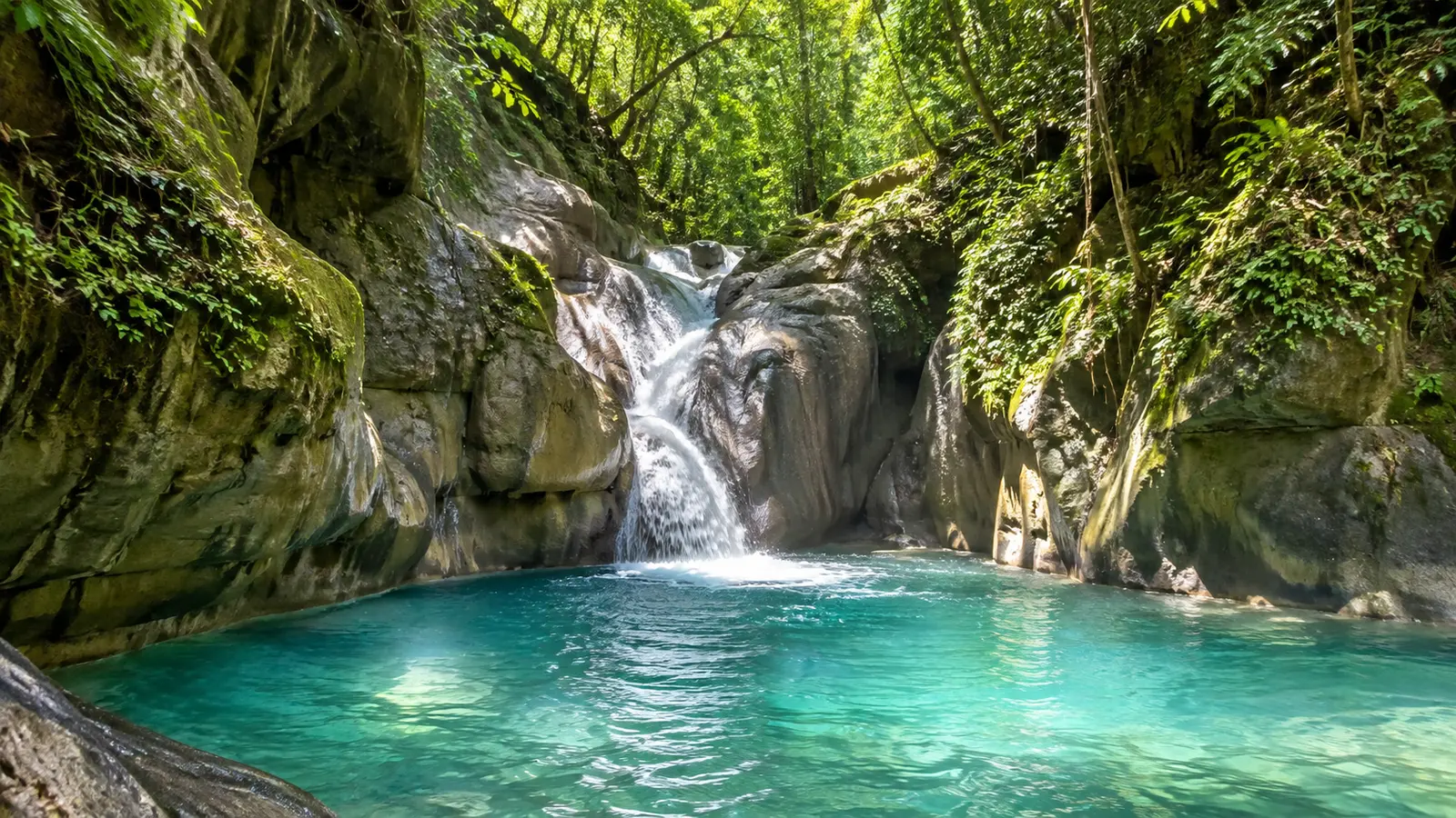 Cascada y piscina natural rodeadas de bosque tropical